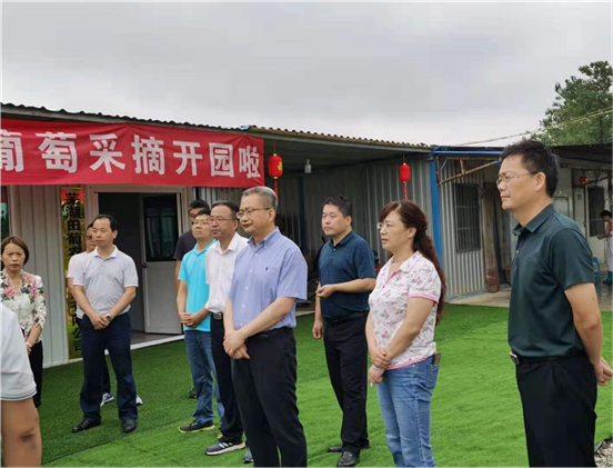 弋江区政协专题协商"加快打造城市后花园,推进乡村振兴"
