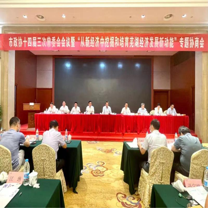 市政协十四届三次常委会会议暨“从新经济中 挖掘和培育芜湖经济发展新动能”专题协商会召开